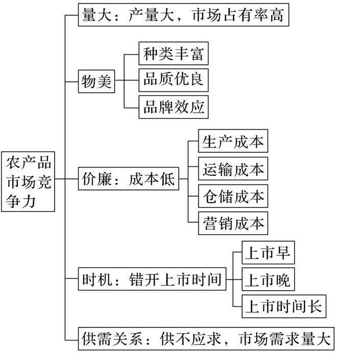 二轮微专题22 市场竞争力冰球突破2025高考地理(图7)